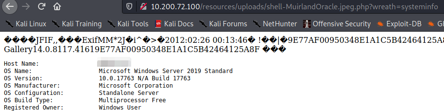 Demonstration of executing the systeminfo command through the webshell