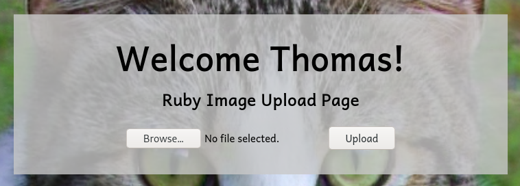 Upload portal in the hidden page