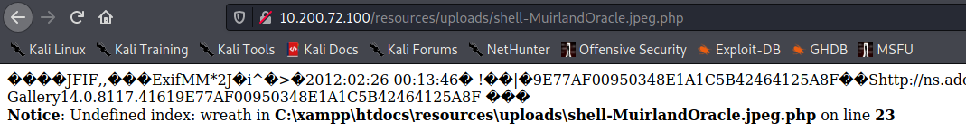 Screenshot showing an error message received when loading the webshell without a parameter