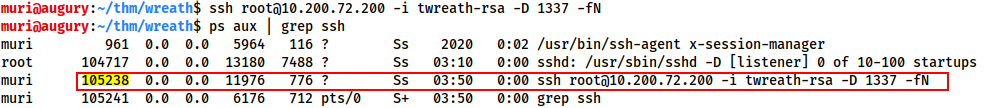 Highlighting the process id of the ssh proxy/port forward