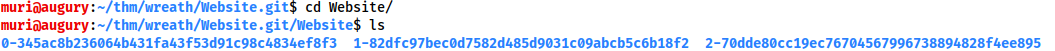Showing the three commits as directories in the Website folder