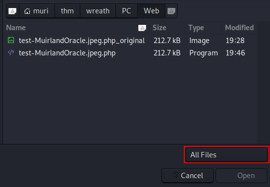 File manager after changing the type to All Files